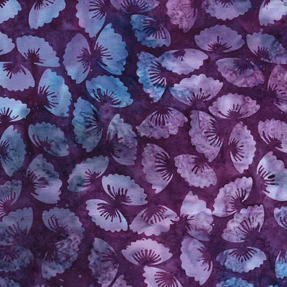 122536485 / Medium Petals Purple Boysenberry