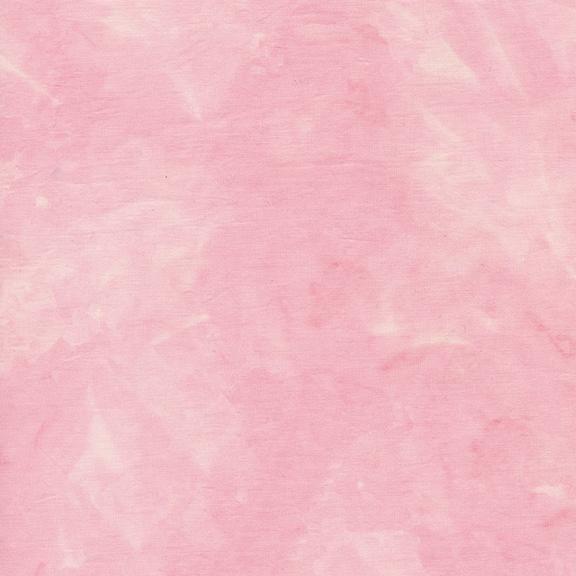 Carnation