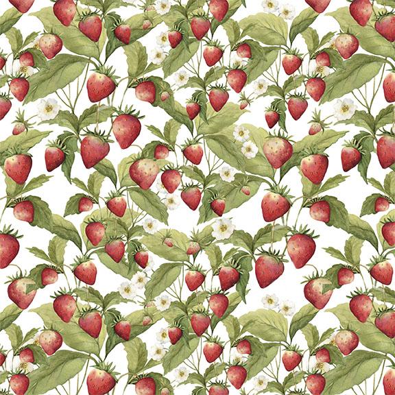 W105-013-036 / Strawberries-White
