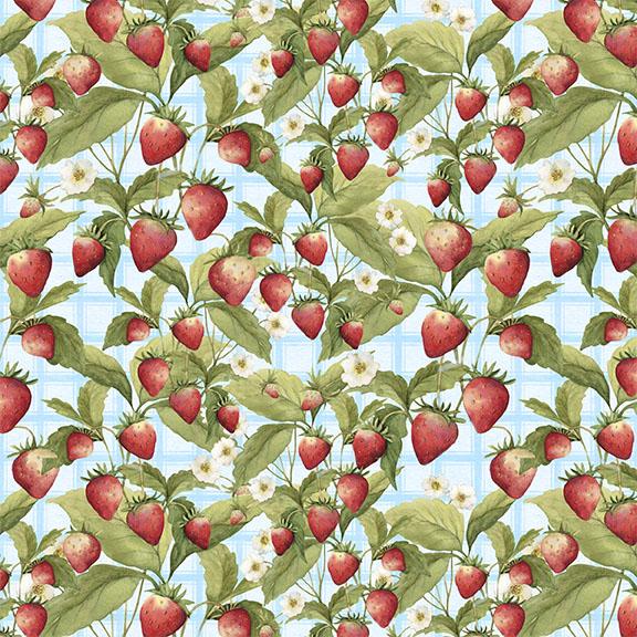 W105-013-536 / Strawberries-Blue