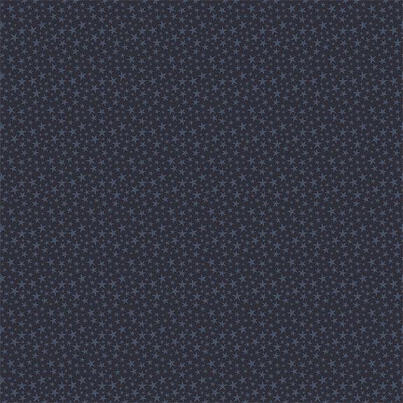 W140-009-590 / Tiny Stars-Navy