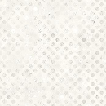 W165-001-001 / Codici-Snow