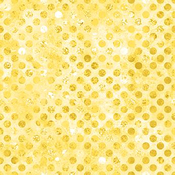 W165-001-225 / Codici-Sunshine