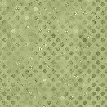 W165-001-630 / Codici-Cactus