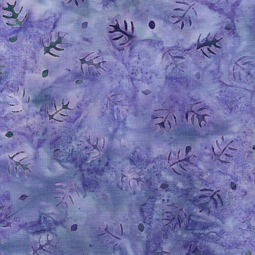 [422305420] 422305420 / Twigs-Purple Urchin