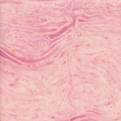[721402030] Bark-Pink