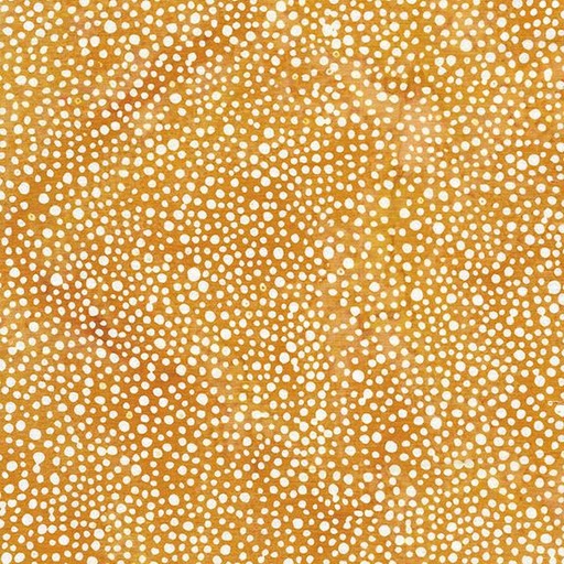 [122379247] Dots-Orange Daffodil