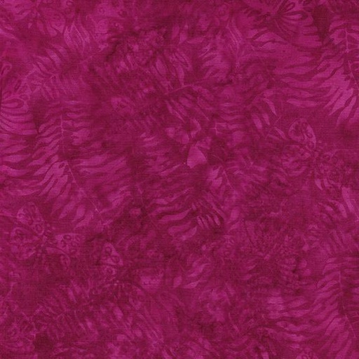 [122357190] Butterfly Fern-Pink Pomegranate