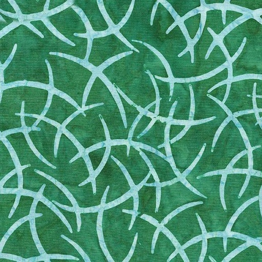 [622306970] Wisps-Teal Parakeet