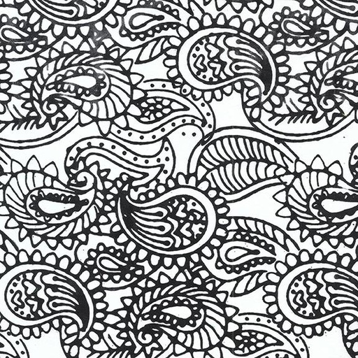 [122347700] Groovy Paisley -White