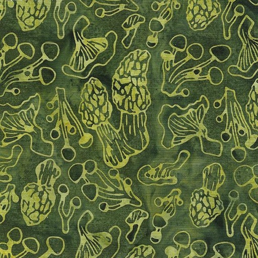 [622401682] Mushroom Time-Green Frog
