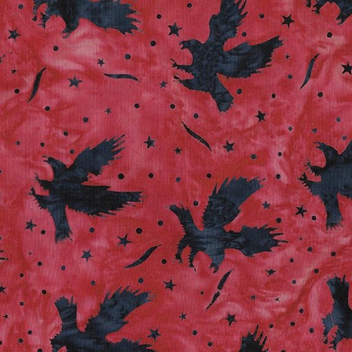 [122460370] 122460370 / Eagles-Red Cardinal