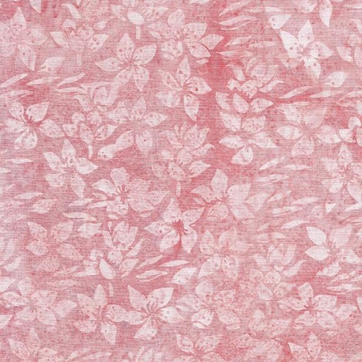 [122422305] 122422305 / Helleborus-Red Shell