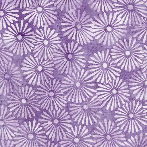 [122421405] 122421405 / Daisy-Purple Lavender