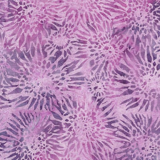 [122423405] 122423405 / Gerbera Daisy-Purple Lavender