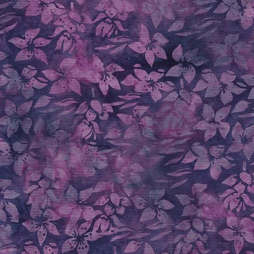 [122422455] 122422455 / Helleborus-Purple Pansy