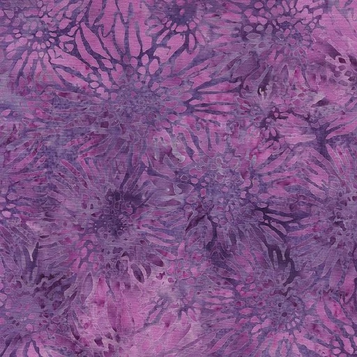 [122423455] 122423455 / Gerbera Daisy-Purple Pansy