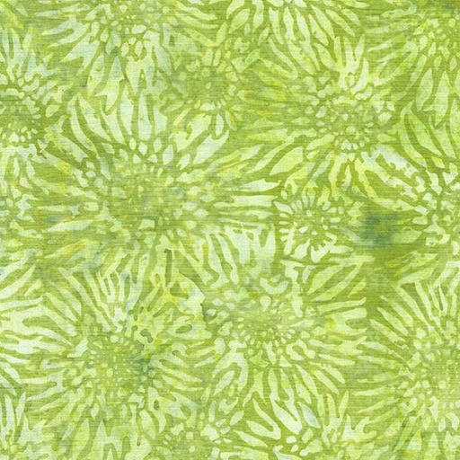 [122423635] 122423635 / Gerbera Daisy-Green Sprout