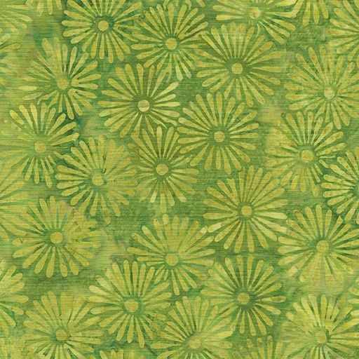[122421650] 122421650 / Daisy-Green Gecko