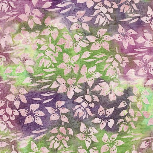 [122422850] 122422850 / Helleborus-Multi Purple Green Flourite