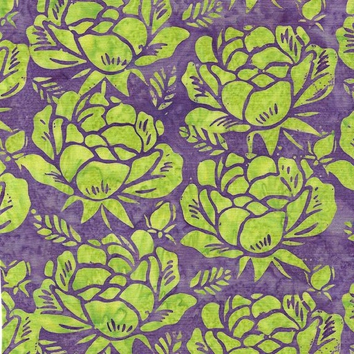 [122432435] Rose-Purple Grape