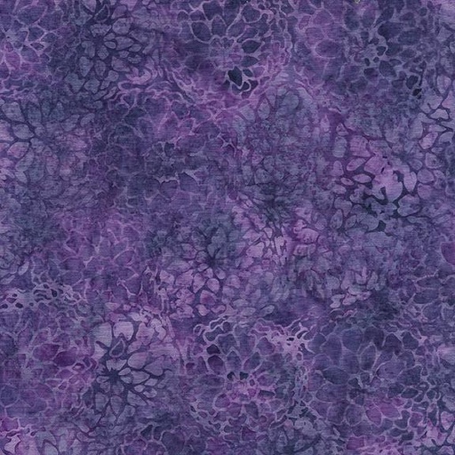[122430455] 122430455 / Camellia Flower-Purple Pansy