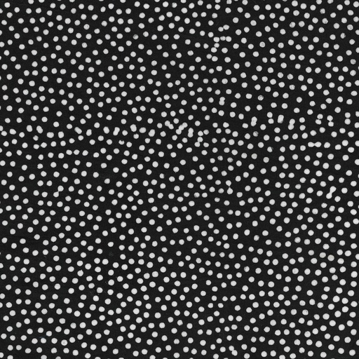 [711905700] 711905700 / Spots -Salt n Pepper