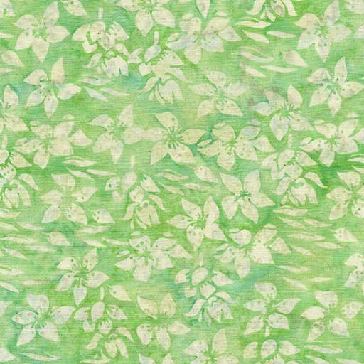[122422615] 122422615 / Helleborus-Green Pistachio