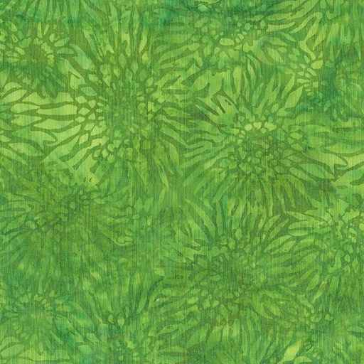 [122423650] 122423650 / Gerbera Daisy-Green Gecko