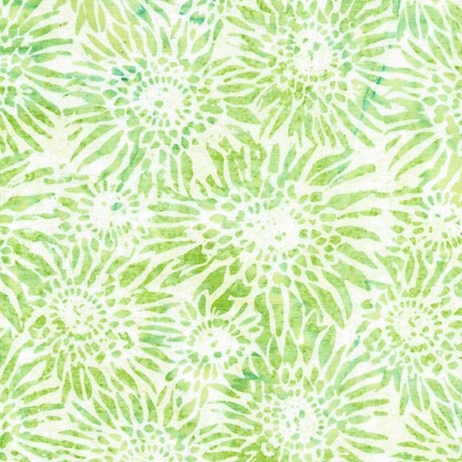 [122423700] 122423700 / Gerbera Daisy-White