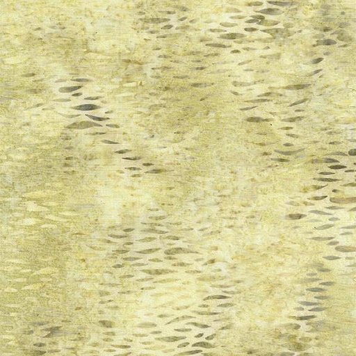 [122446053] 122446053 / Birch-Brown Tawny