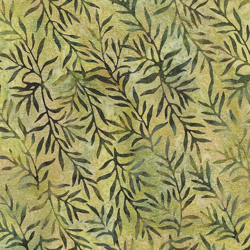 [122448605] 122448605 / Leafy Vine-Green Celery