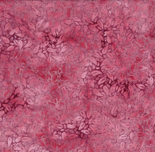 [922505140] Large Petals Pink French Rose