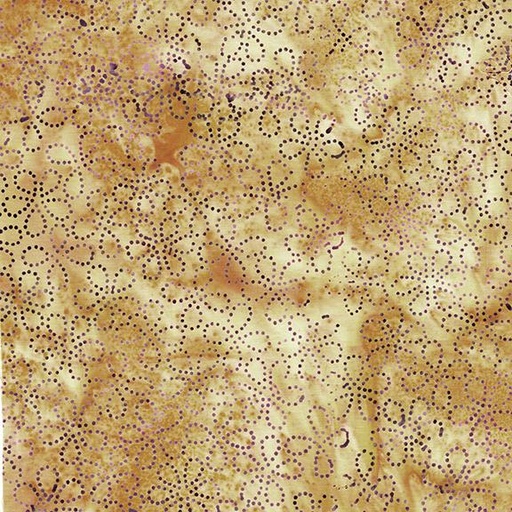 [122562056] Floral Dots Brown Tan