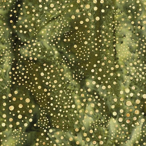[122561650] Circle Dots Green Gecko