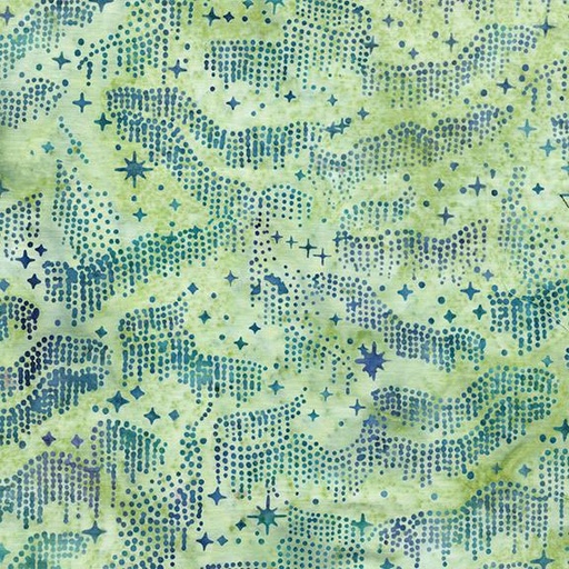 [122566610] Night Sky Green Honeydew