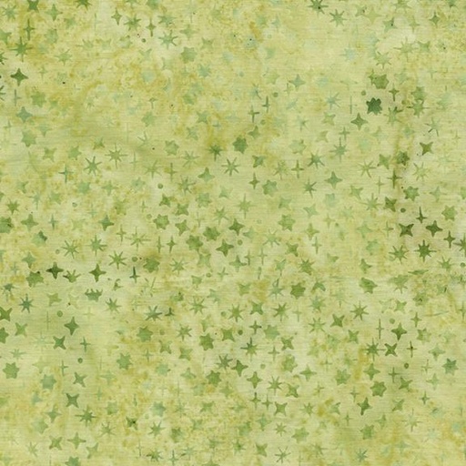 [122568625] Assorted Stars Green Seedling