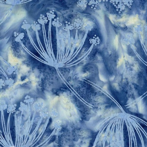 [322507520] Queen Annes Lace Blue Powder Blue