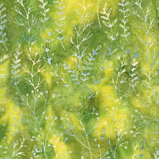 [322501630] Meadow Green Lemongrass