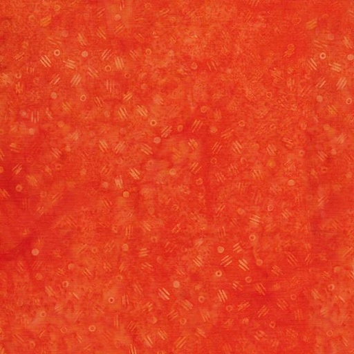 [422506275] Seeds Orange Pumpkin