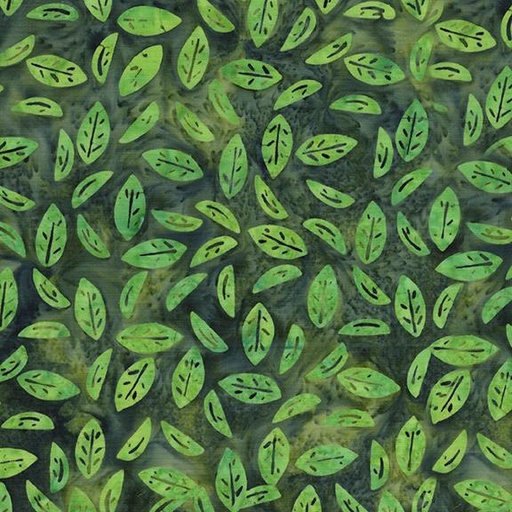 [422504670] Leaves Green Jungle
