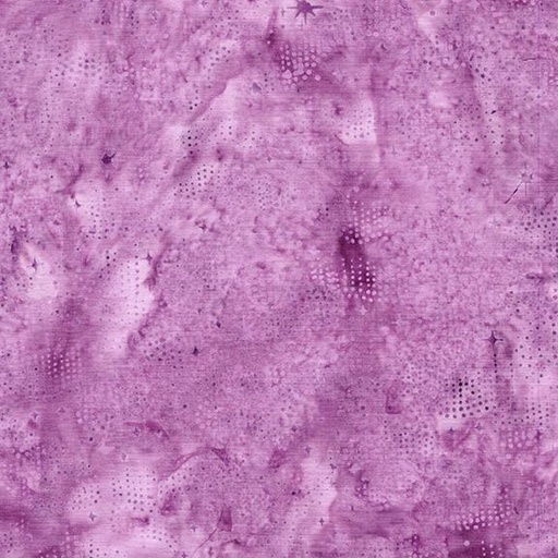 [122566120] Night Sky Pink Petunia