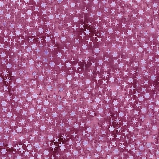[122568130] Assorted Stars Pink Camelia