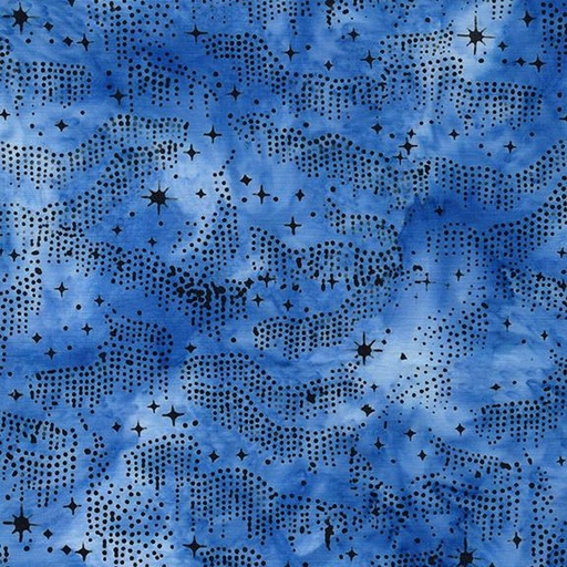 [122566545] Night Sky Blue Bluebird