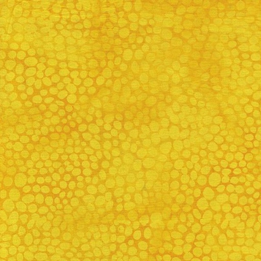 [112425240] Rock-Yellow Cornmeal