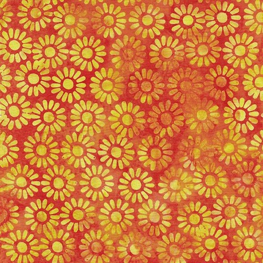 [112431266] Medium Daisy-Orange Tiger