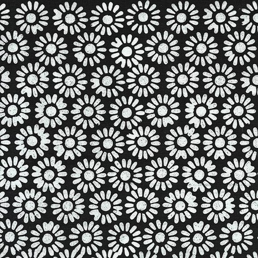 [112431793] Medium Daisy-Black Midnight