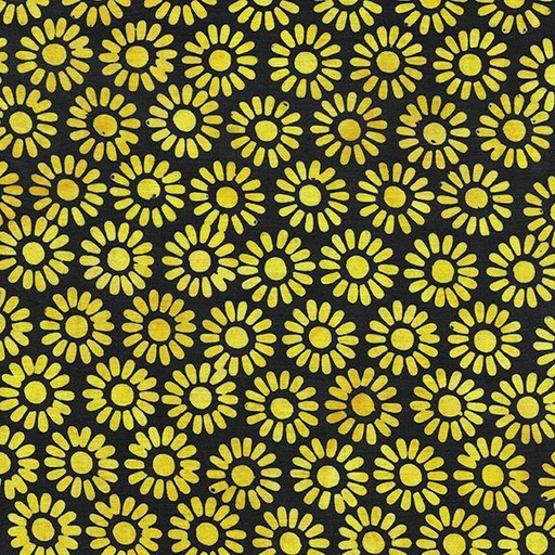 [112431795] Medium Daisy-Black