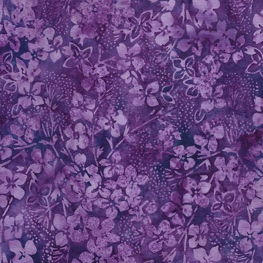 [112405430] Hydrangea-Purple Jelly