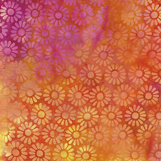 [112431810] Medium Daisy-Multi Pink Orange Sunset
